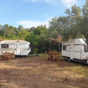 Aquariumi Jale Campingplatz